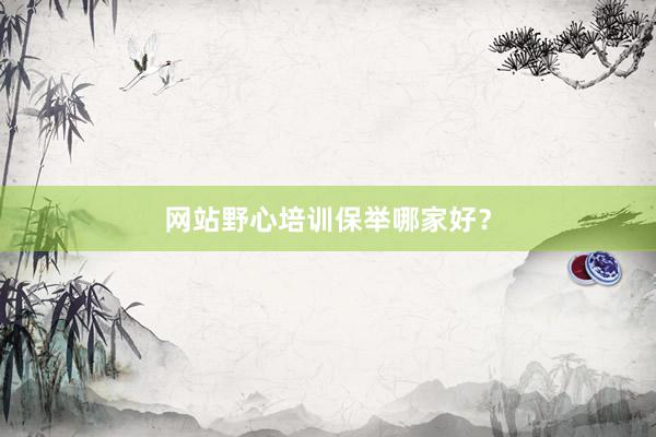 网站野心培训保举哪家好？