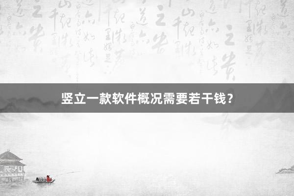 竖立一款软件概况需要若干钱？