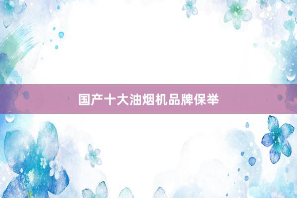 国产十大油烟机品牌保举