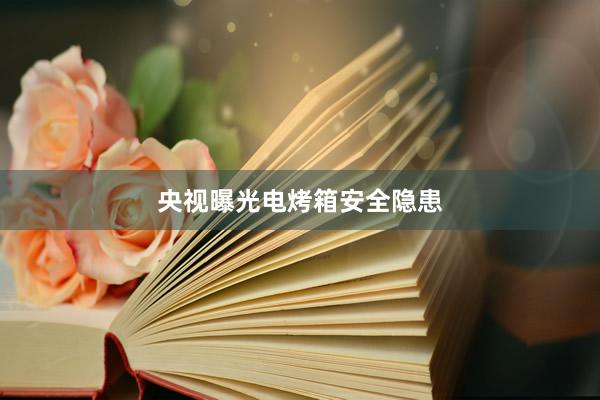 央视曝光电烤箱安全隐患