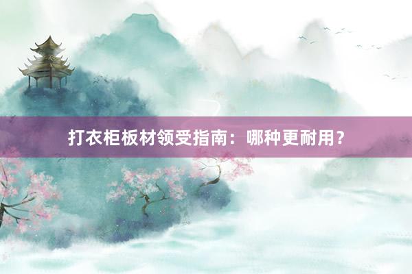 打衣柜板材领受指南：哪种更耐用？
