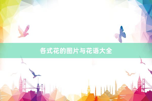 各式花的图片与花语大全