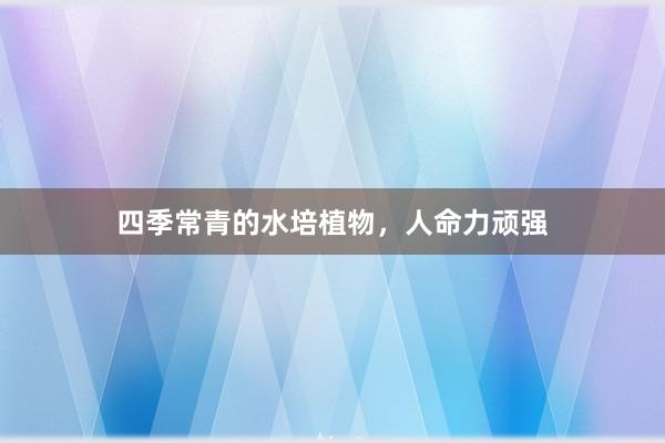 四季常青的水培植物，人命力顽强
