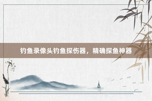 钓鱼录像头钓鱼探伤器，精确探鱼神器